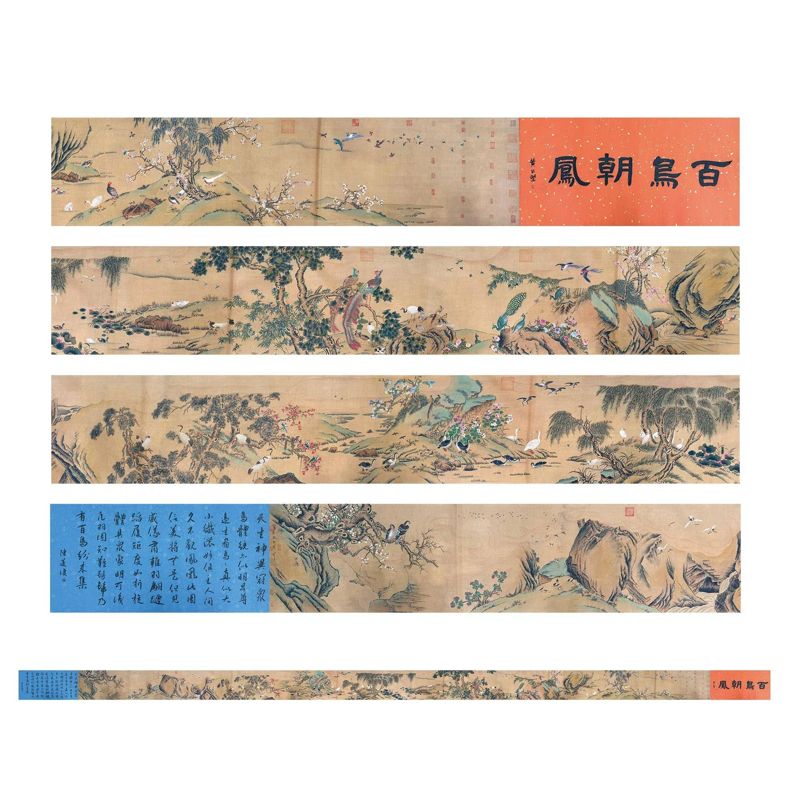 《百鳥朝鳳》圖卷